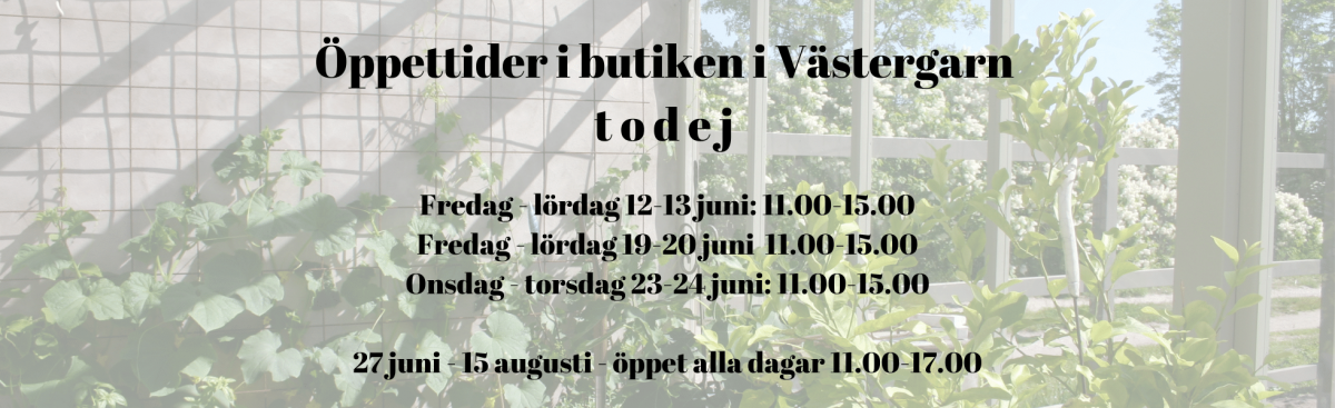 öppettider todej